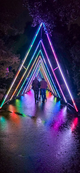 San Diego Botanic Garden - Lightscape 2025